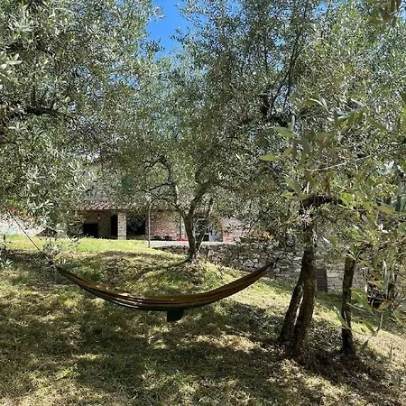 Il Cascino