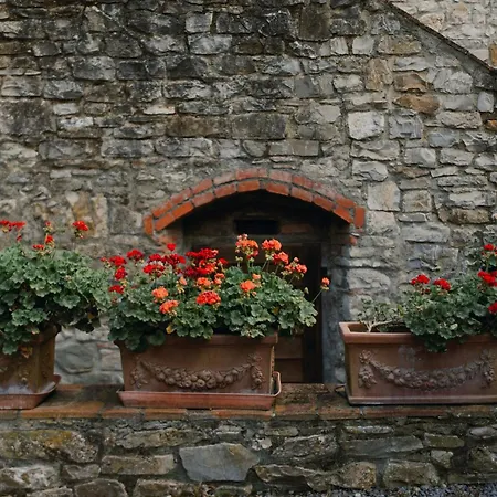 Il Cascino Greve in Chianti