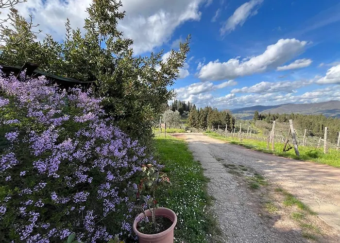Il Cascino Kır Evi