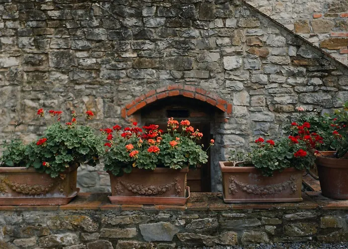 Il Cascino Greve in Chianti